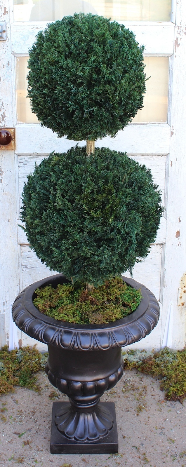 Double Ball Topiary 40 inch